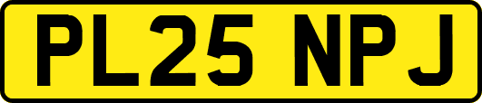 PL25NPJ