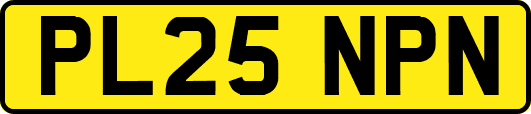 PL25NPN
