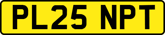 PL25NPT