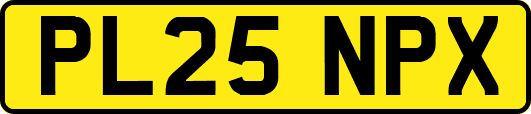 PL25NPX