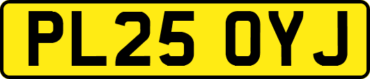 PL25OYJ