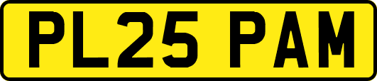 PL25PAM