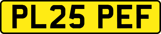 PL25PEF