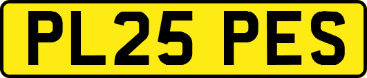 PL25PES