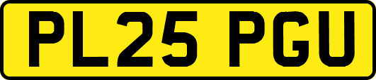 PL25PGU