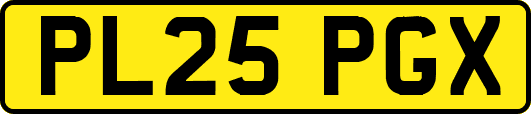 PL25PGX