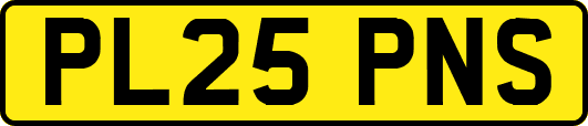 PL25PNS