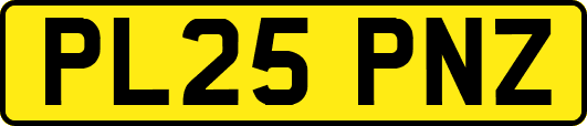 PL25PNZ