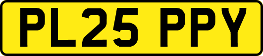 PL25PPY