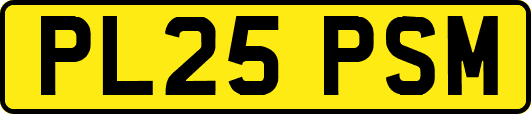 PL25PSM