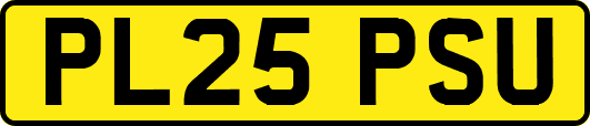 PL25PSU