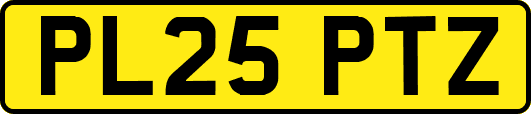 PL25PTZ