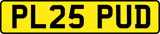 PL25PUD
