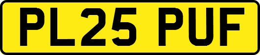 PL25PUF