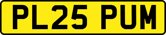 PL25PUM