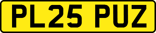 PL25PUZ
