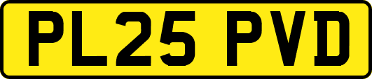 PL25PVD