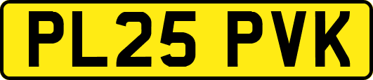 PL25PVK