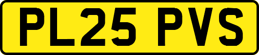 PL25PVS