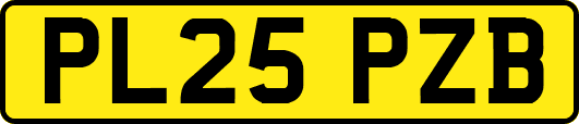 PL25PZB