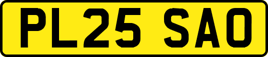 PL25SAO