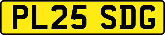 PL25SDG