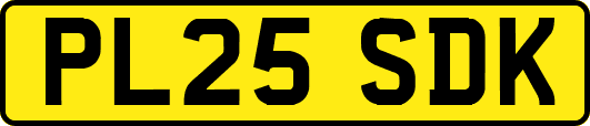 PL25SDK