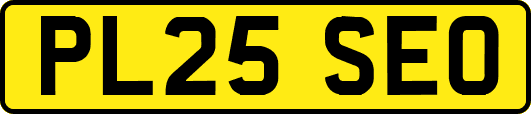 PL25SEO