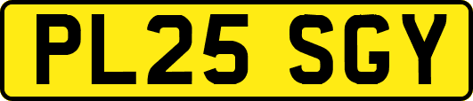 PL25SGY