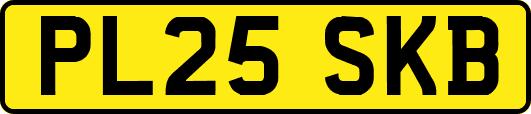 PL25SKB