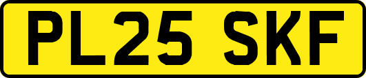 PL25SKF