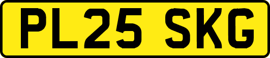 PL25SKG