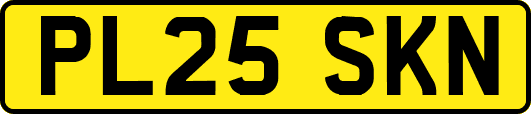 PL25SKN