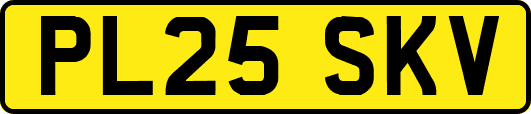 PL25SKV