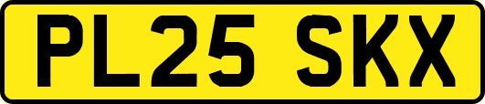 PL25SKX