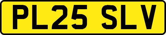 PL25SLV