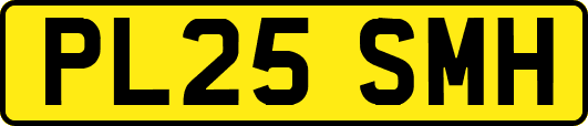 PL25SMH