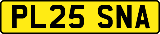 PL25SNA
