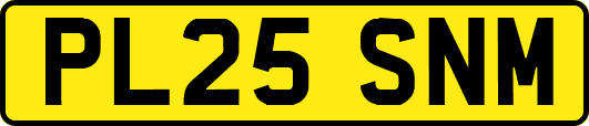 PL25SNM