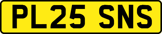 PL25SNS