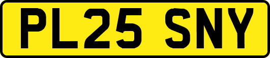 PL25SNY
