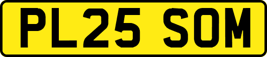 PL25SOM