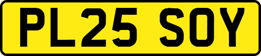 PL25SOY