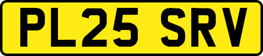 PL25SRV