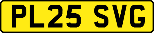 PL25SVG