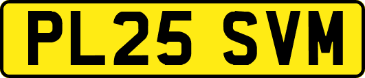 PL25SVM