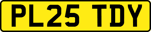 PL25TDY