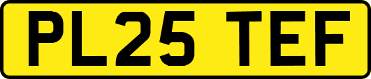 PL25TEF