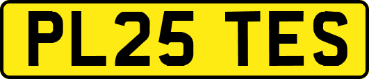 PL25TES