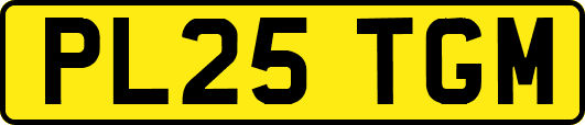 PL25TGM